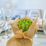 Apto Cruz Conde Center Διαμέρισμα *