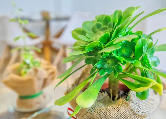 Apto Cruz Conde Center