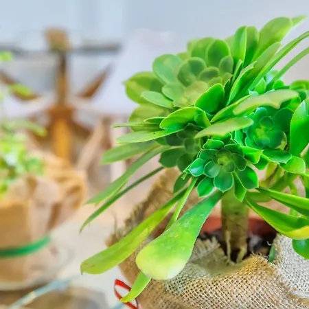 Apto Cruz Conde Center